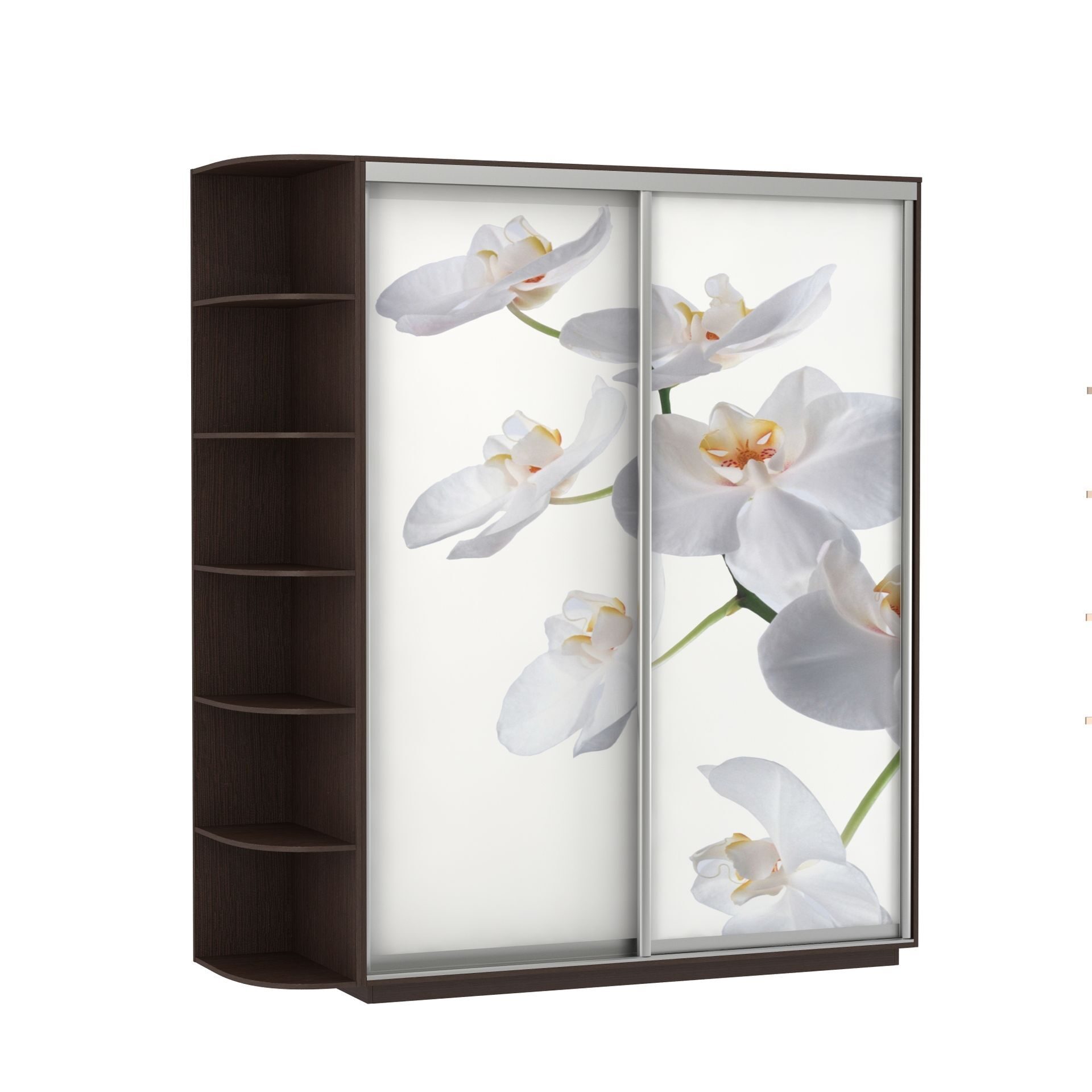 фотопечать орхидеи для шкафов купе